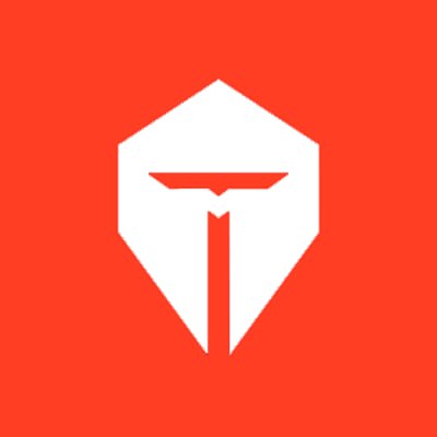 Top Esports logo